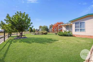 Farm For Sale - NSW - Tamworth - 2340 - Buy it today and start making money tomorrow!  (Image 2)