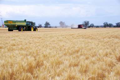 Farm For Sale - NSW - Narrabri - 2390 - Productive & Profitable Base Property  (Image 2)