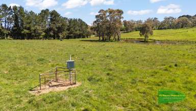 Farm Auction - NSW - Barry - 2799 - "Moorilda" Orchard 23.86 acres  (Image 2)