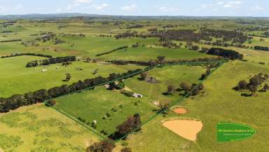 Farm Auction - NSW - Barry - 2799 - "Moorilda" Orchard 23.86 acres  (Image 2)