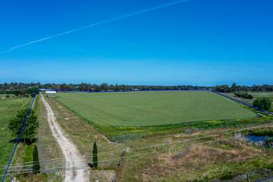 Farm Auction - SA - Naracoorte - 5271 - VERSATILE AND PROVEN CROPPING PROPERTY  (Image 2)