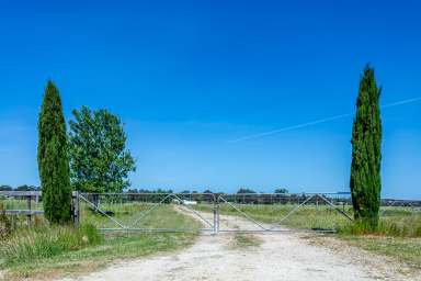 Farm Auction - SA - Naracoorte - 5271 - VERSATILE AND PROVEN CROPPING PROPERTY  (Image 2)