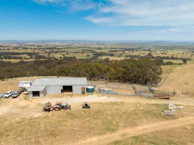 Farm Auction - NSW - Bathurst - 2795 - "Browns Hill" - Unparalleled Views of Bathurst and Beyond  (Image 2)