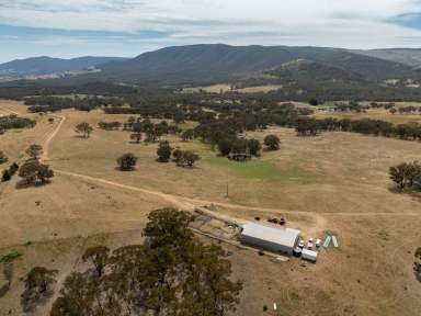 Farm Auction - NSW - Bathurst - 2795 - "Browns Hill" - Unparalleled Views of Bathurst and Beyond  (Image 2)