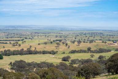 Farm Sold - NSW - Bathurst - 2795 - "Browns Hill" - Unparalleled Views of Bathurst and Beyond  (Image 2)