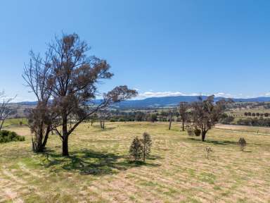 Farm Auction - NSW - O'Connell - 2795 - "RIDGEVIEW" - 1703 Mutton Falls Road, O'CONNELL  (Image 2)