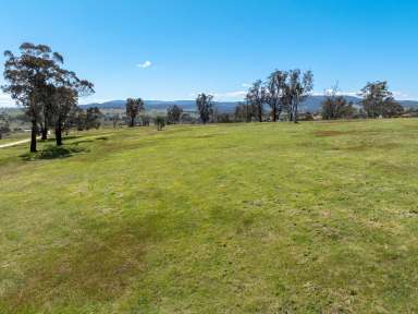 Farm Auction - NSW - O'Connell - 2795 - "RIDGEVIEW" - 1703 Mutton Falls Road, O'CONNELL  (Image 2)