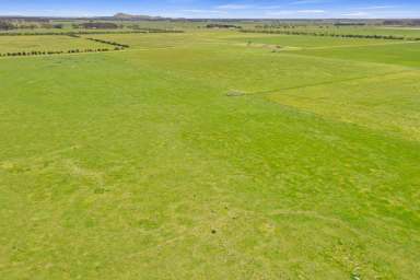 Farm For Sale - VIC - Mortlake - 3272 - Exceptional Western District Grazing Opportunity  (Image 2)