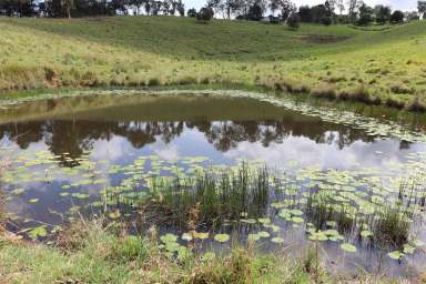 Farm For Sale - QLD - Veteran - 4570 - PERFECT VETERAN ACREAGE  (Image 2)