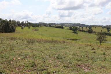 Farm For Sale - QLD - Veteran - 4570 - PERFECT VETERAN ACREAGE  (Image 2)