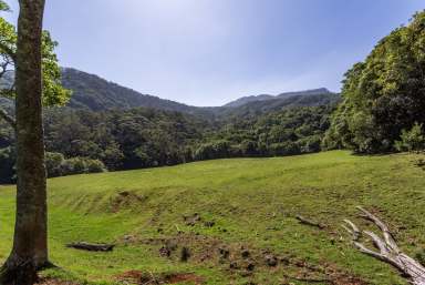 Farm For Sale - NSW - Foxground - 2534 - 'Jindara'  (Image 2)