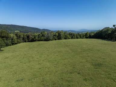 Farm Auction - NSW - Foxground - 2534 - 'Jindara'  (Image 2)