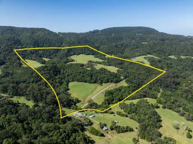 Farm For Sale - NSW - Foxground - 2534 - 'Jindara'  (Image 2)