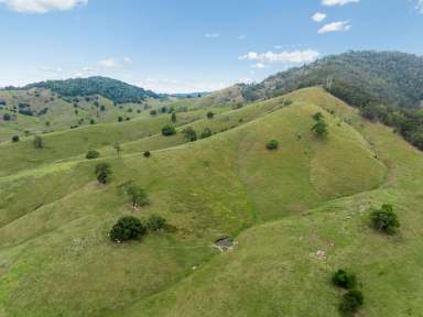 Farm For Sale - QLD - Laceys Creek - 4521 - 156-Acres of Prime Grazing Land with Breathtaking Elevated Views  (Image 2)