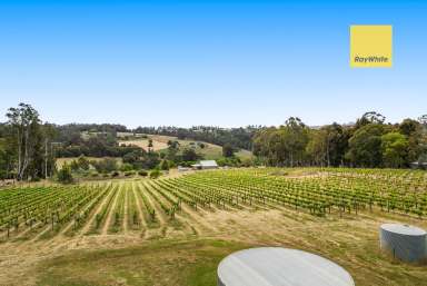 Farm For Sale - WA - Bridgetown - 6255 - Outstanding country setting, Vineyard, 13 acres  (Image 2)