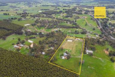 Farm For Sale - WA - Bridgetown - 6255 - 13 acres, 4 x 2 country home, Bridgetown outskirts!  (Image 2)