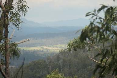 Farm For Sale - NSW - Tabulam - 2469 - ON TOP OF THE WORLD  (Image 2)