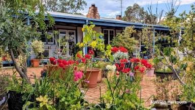 Farm For Sale - WA - Bindoon - 6502 - Charming Country Cottage on 7acres!  (Image 2)