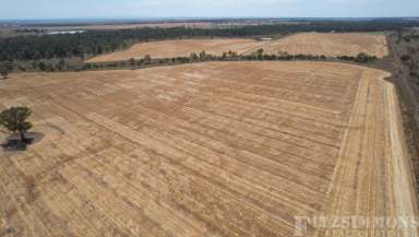 Farm For Sale - QLD - Dalby - 4405 - 313 ACRES OF RICH ALLUVIL BLACK SOIL RIVER COUNTRY WITH TOP IMPROVEMENTS!  (Image 2)