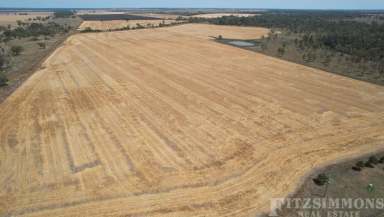 Farm For Sale - QLD - Dalby - 4405 - 313 ACRES OF RICH ALLUVIL BLACK SOIL RIVER COUNTRY WITH TOP IMPROVEMENTS!  (Image 2)