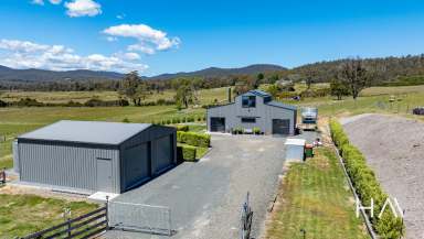 Farm For Sale - TAS - Mount Direction - 7252 - 44 Hectares of Ultimate Country Living with Room to Grow  (Image 2)