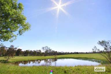 Farm For Sale - VIC - Elphinstone - 3448 - 25 ACRE LIFESTYLE ALLOTMENT WITH PLANNING PERMIT  (Image 2)