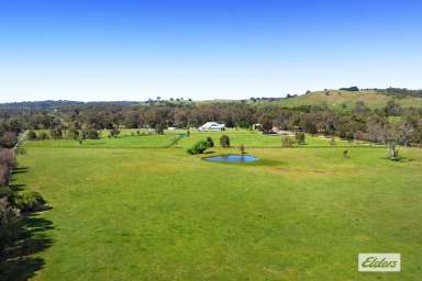 Farm For Sale - VIC - Elphinstone - 3448 - 25 ACRE LIFESTYLE ALLOTMENT WITH PLANNING PERMIT  (Image 2)