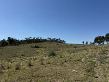 Farm For Sale - QLD - Moonford - 4630 - Perfect Starter or Absentee block  (Image 2)