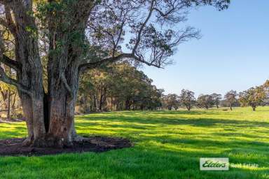 Farm For Sale - WA - Mount Barker - 6324 - Bring Your Own House!  (Image 2)