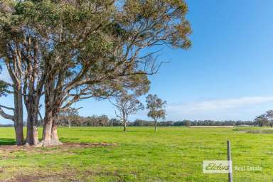 Farm For Sale - WA - Mount Barker - 6324 - Bring Your Own House!  (Image 2)