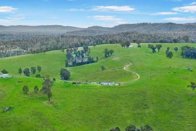 Farm For Sale - VIC - Bete Bolong North - 3888 - 375 Acres With Snowy River Frontage  (Image 2)