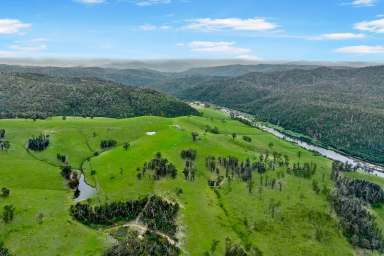 Farm For Sale - VIC - Bete Bolong North - 3888 - 375 Acres With Snowy River Frontage  (Image 2)