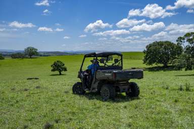 Farm For Sale - NSW - Backmede - 2470 - 'Bakers'  (Image 2)