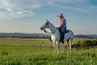 Farm Auction - NSW - Backmede - 2470 - Greendale  (Image 2)