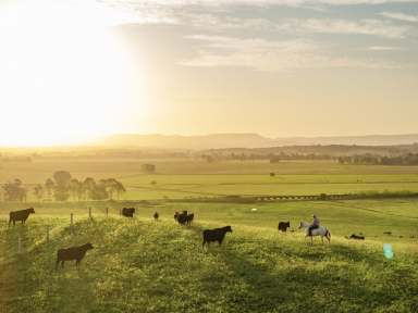 Farm Auction - NSW - Backmede - 2470 - Greendale  (Image 2)