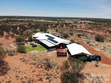 Farm For Sale - NT - Ross - 0873 - Space and Serenity Awaits  (Image 2)