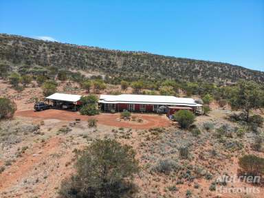 Farm For Sale - NT - Ross - 0873 - Space and Serenity Awaits  (Image 2)