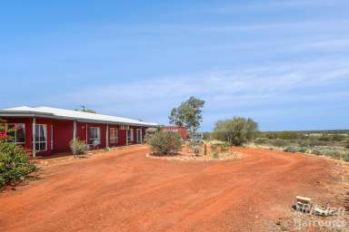 Farm For Sale - NT - Ross - 0873 - Space and Serenity Awaits  (Image 2)