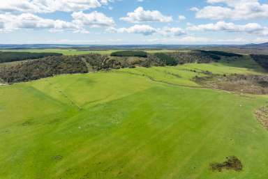 Farm For Sale - TAS - Boobyalla - 7264 - "Boobyalla Seabreeze"  (Image 2)