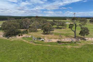 Farm For Sale - VIC - Flynn - 3844 - 115 Acres of Grazing Land  (Image 2)