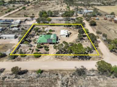 Farm For Sale - SA - Kadina - 5554 - Looking for a quiet Rural location?  Lovely Hickinbotham brick home plus solar power  (Image 2)