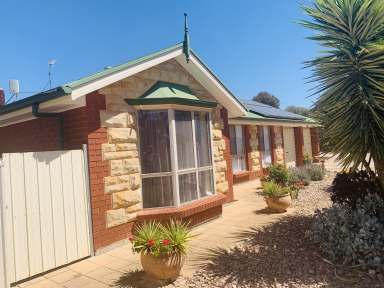 Farm For Sale - SA - Kadina - 5554 - Looking for a quiet Rural location?  Lovely Hickinbotham brick home plus solar power  (Image 2)