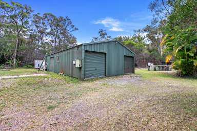 Farm For Sale - QLD - Sunshine Acres - 4655 - A Golden Opportunity  (Image 2)