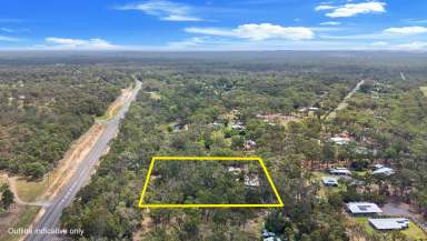 Farm For Sale - QLD - Sunshine Acres - 4655 - A Golden Opportunity  (Image 2)