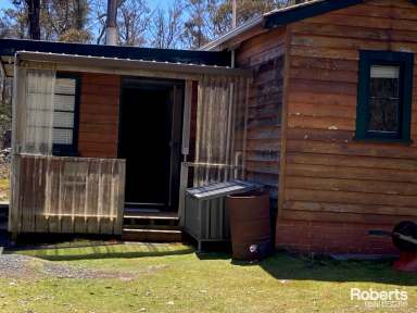 Farm For Sale - TAS - Interlaken - 7030 - Ultimate Bush Retreat for Hunters and Fishermen!  (Image 2)