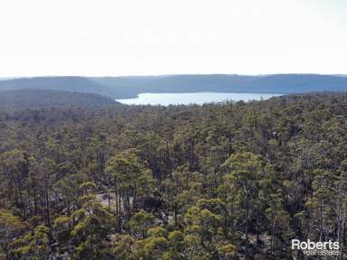 Farm For Sale - TAS - Interlaken - 7030 - Ultimate Bush Retreat for Hunters and Fishermen!  (Image 2)