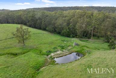 Farm For Sale - QLD - Sandy Creek - 4515 - Discover Windermere: The Ultimate Country Retreat  (Image 2)