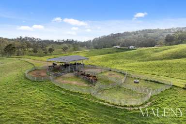 Farm For Sale - QLD - Sandy Creek - 4515 - Discover Windermere: The Ultimate Country Retreat  (Image 2)