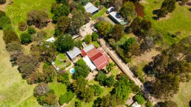 Farm For Sale - NSW - Holbrook - 2644 - TRANQUIL COUNTRY LIFESTYLE ON THE EDGE OF HOLBROOK  (Image 2)