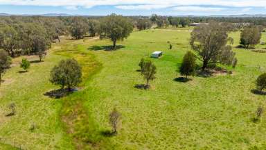 Farm For Sale - NSW - Holbrook - 2644 - TRANQUIL COUNTRY LIFESTYLE ON THE EDGE OF HOLBROOK  (Image 2)